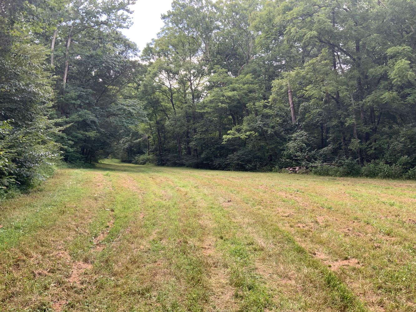 1915 Mount Zion Rd, Frankfort, KY 40601